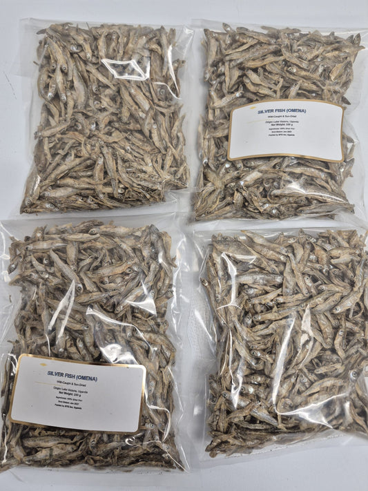 Silver Fish (Omena)